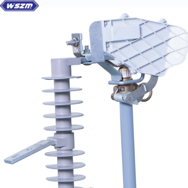 Drop-out fuse cut out