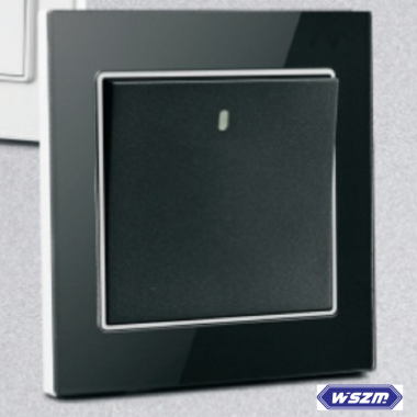 Switch & Socket